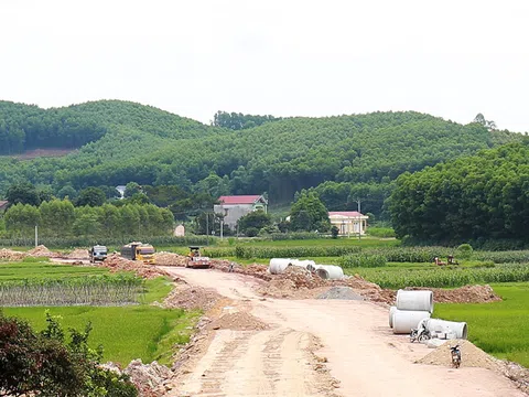 Bắc Giang: Công bố đơn giá bồi thường tài sản trên đất là cây trồng, vật nuôi khi Nhà nước thu hồi đất