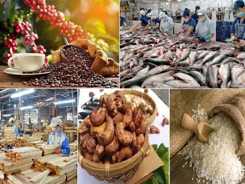 Dự báo thị trường xuất khẩu nông lâm thủy sản nửa cuối năm 2023