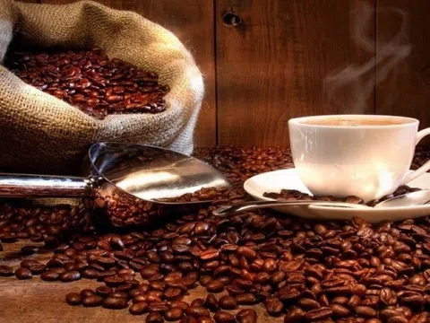 Giá cà phê ngày 21/7: Giá cà phê trong nước tăng 1.300 đồng/kg