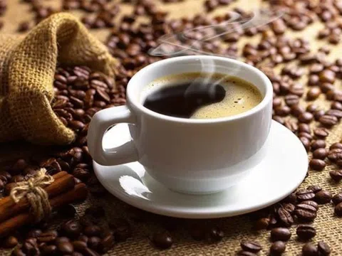 Giá cà phê ngày 28/7: Giá cà phê trong nước tăng nhẹ, cao nhất ở mức 67.300 đồng/kg