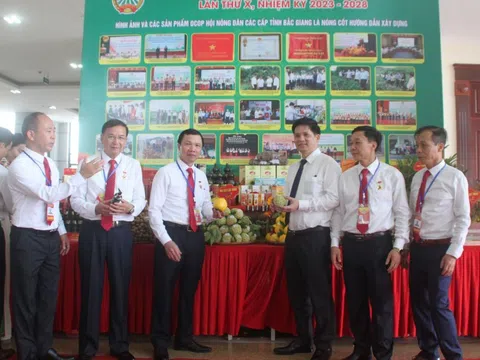 Trưng bày gần 200 sản phẩm OCOP, nông sản chủ lực và đồ mỹ nghệ chào mừng Đại hội Hội Nông dân tỉnh Bắc Giang