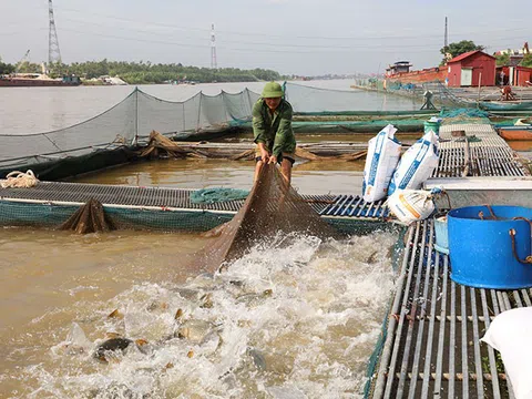 Kiểm soát, giám sát chất lượng môi trường trong nuôi trồng thủy sản