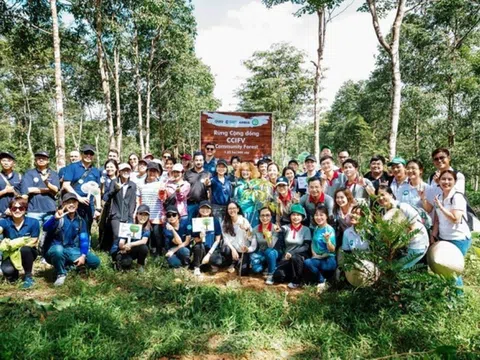 Airbus và CCIFV triển khai dự án ‘rừng cộng đồng’ tại Khu dự trữ sinh quyển Đồng Nai