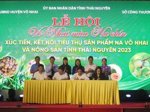 Lễ hội "Võ Nhai mùa na chín": Kết nối tiêu thụ nông sản Thái Nguyên