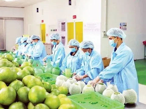 Thúc đẩy xuất khẩu nông sản sang thị trường khu vực Đông Bắc Á