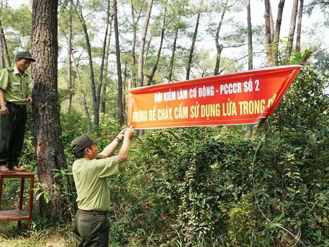 Bắc Giang chủ động ứng phó với nguy cơ cháy rừng mùa khô