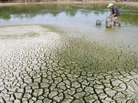 World Bank Việt Nam: "Biến đổi khí hậu có thể khiến 1 triệu người Việt nghèo vào năm 2030"