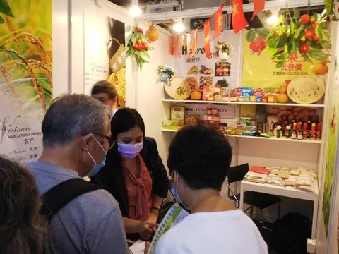 Tư vấn thúc đẩy xuất khẩu sang thị trường Hồng Kông