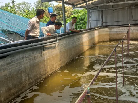 “Vai trò của ngành Thủy sản trong phát triển kinh tế của tỉnh Thanh Hóa” bài 2: Huyện Nông Cống tìm hướng để ngành Thủy sản sớm “nở hoa” trên vùng nước lợ