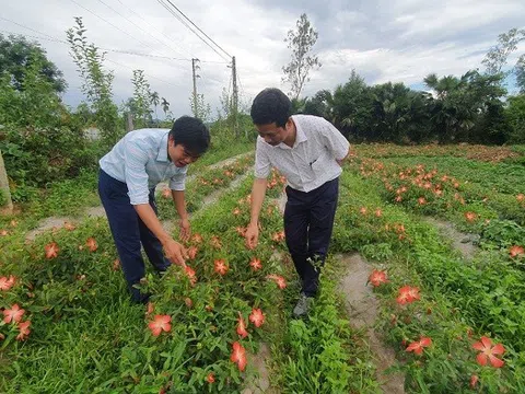 Hội Làm vườn Nghệ An đồng hành cùng nông dân phát triển kinh tế