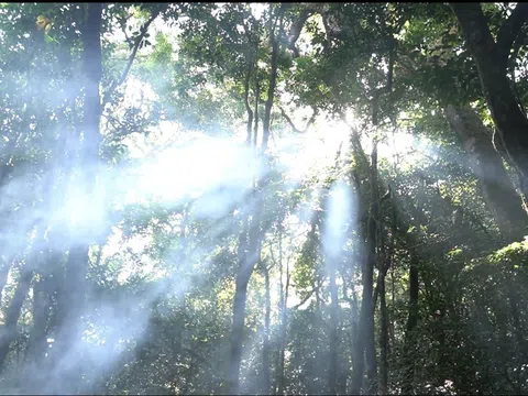 Chinh phục cao nguyên Di Linh huyền bí Bài 3: Ngủ đêm trên đỉnh núi thiêng, nghe truyền thuyết về người K’Ho