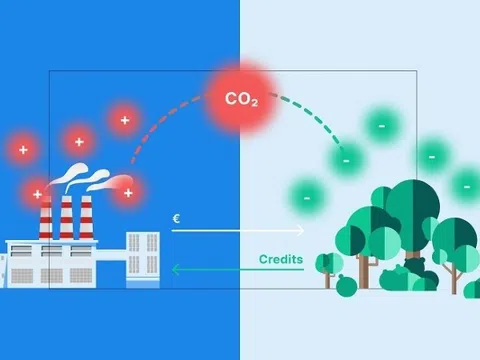 Tín Chỉ Carbon: Chìa khóa mở cánh cửa công nghiệp sạch