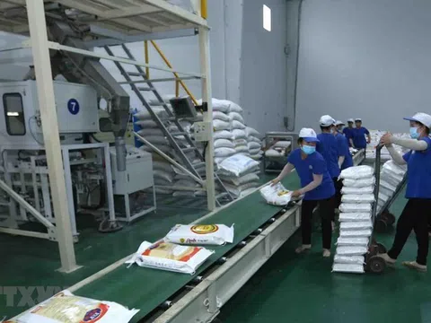 Phạt và truy thu gần 4 tỷ đồng tiền thuế công ty gạo Trung An