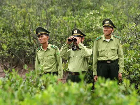 Quảng Bình tăng cường công tác phòng cháy, chữa cháy rừng