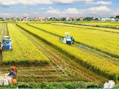 Quảng Bình đẩy mạnh quy hoạch xây dựng Nông thôn mới gắn với quá trình đô thị hóa