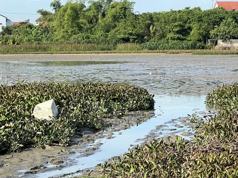 Quảng Bình: Hồ Bàu Mạ cạn "trơ đáy" ảnh hưởng đến đời sống của người dân