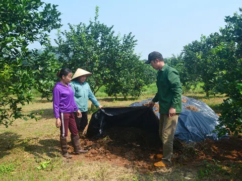 Nghệ An: Nắng nóng gay gắt, nông dân vất vả tìm cách cấp nước cho "cây trồng đắt tiền"
