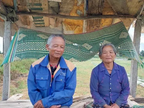 Vụ ruộng dưa hấu bị phá tại Nghệ An: Vợ chồng cụ ông tha thứ nhóm thanh niên