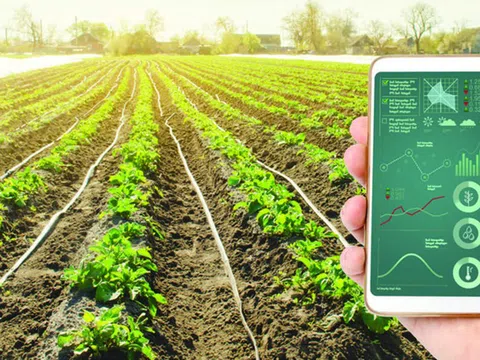 Những ứng dụng của blockchain trong phát triển nông nghiệp