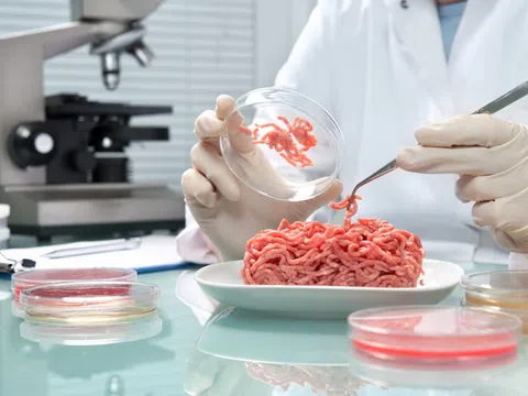 Công nghệ in 3D có thể tạo ra thịt từ các nguyên liệu thực vật