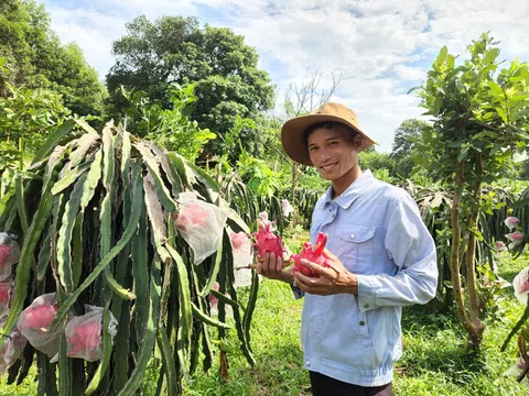 Hà Tĩnh: Chàng trai 9x lập nghiệp với kinh tế xanh từ trang trại tổng hợp