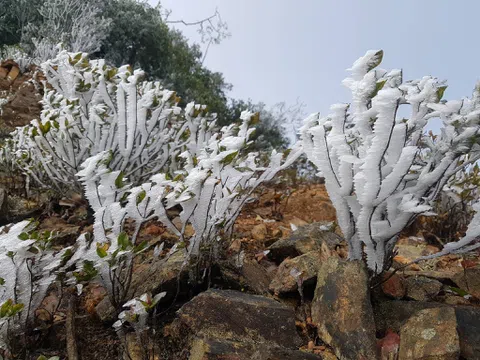 Nghệ An: Nhiệt độ xuống thấp, tuyết phủ trắng khu vực vùng biên giới
