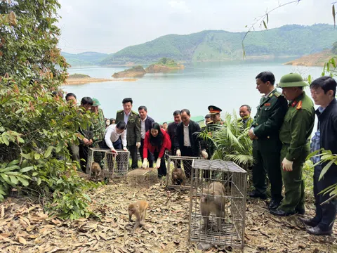 Hà Tĩnh:  43 cá thể động vật hoang dã được tái thả về môi trường tự nhiên