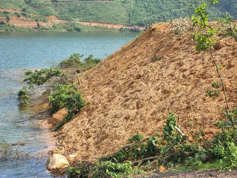 Hà Tĩnh: Tự ý san gạt hàng ngàn mét vuông đất trồng cây công nghiệp, có dấu hiệu của hành vi hủy hoại đất