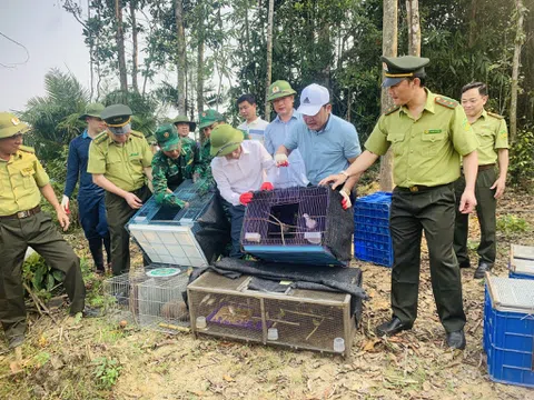 Hà Tĩnh: Lực lượng chức năng thả nhiều cá thể động vật hoang dã, quý hiếm về môi trường tự nhiên