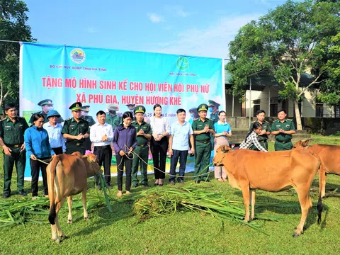 Hà Tĩnh: Tặng bò giống cho hội viên phụ nữ nghèo xã biên giới Phú Gia