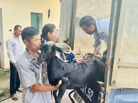 Hà Tĩnh: Trao dê giống cho 10 gia đình hộ nghèo và cận nghèo