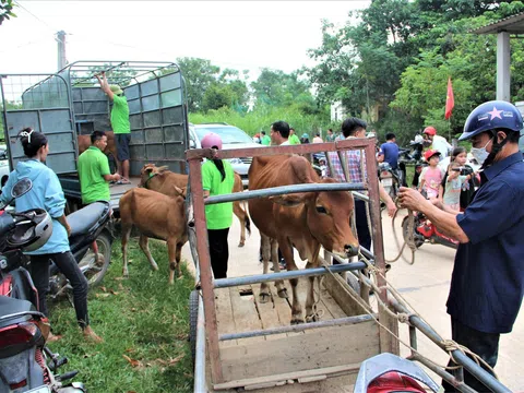 100 hộ nghèo, khó khăn ở Hà Tĩnh được hỗ trợ mô hình phát triển sản xuất