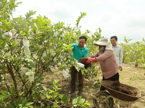 Nghệ An: Tự sản xuất phân bón mang lại hiệu quả cao