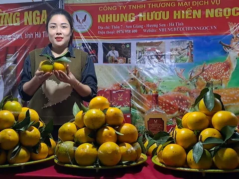 Hà Tĩnh: Tổ chức Lễ hội cam và các sản phẩm nông nghiệp lần thứ 6