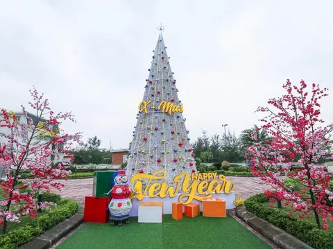 Độc đáo cây thông Noel được làm từ vỏ sò