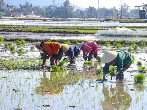 Hà Tĩnh: Chủ tịch UBND tỉnh ra công điện về phòng chống rét đậm, rét hại