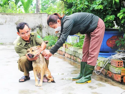 Hà Tĩnh: “Tăng tốc” tiêm phòng dại cho đàn chó, mèo