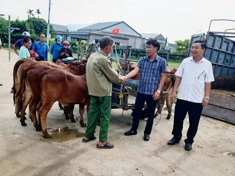 Hà Tĩnh phân bổ hơn 92 tỷ đồng cho chương trình giảm nghèo