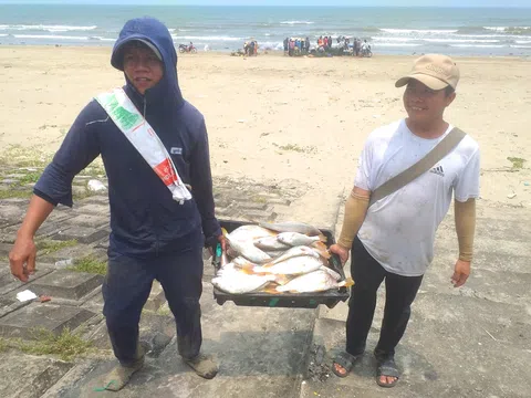 Hà Tĩnh: Ngư dân trúng đậm mẻ cá đù trị giá gần 100 triệu đồng