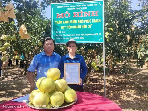 Trao chứng nhận mô hình thâm canh bưởi Phúc Trạch đạt tiêu chuẩn hữu cơ