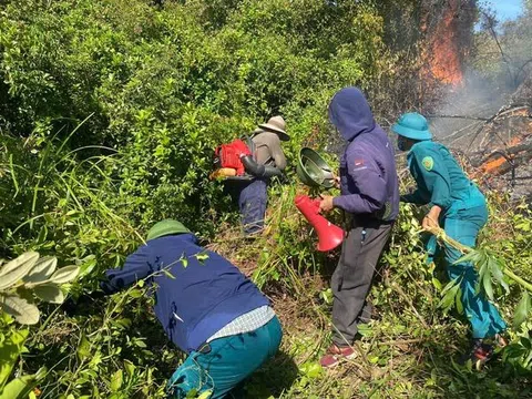 Hà Tĩnh: Hàng trăm người kịp thời tham gia dập tắt đám cháy rừng