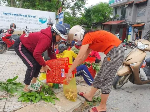 Sau cơn mưa, người dân vào rừng hái nấm để gia tăng thu nhập