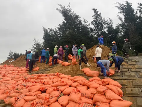 Hà Tĩnh: Huy động hàng trăm người khẩn cấp gia cố xói lở kè biển