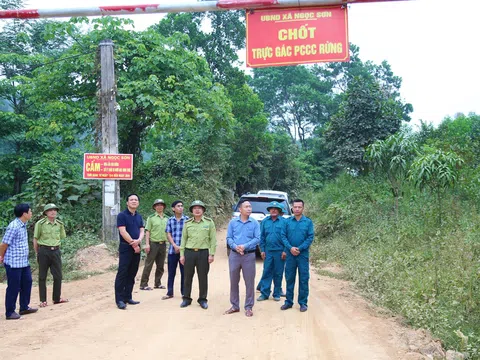 Hà Tĩnh: Tăng cường công tác quản lý, bảo vệ rừng dịp Tết Nguyên đán Ất Tỵ năm 2025