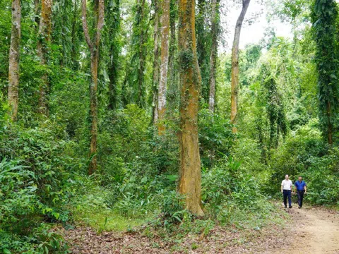 Quảng Bình: Chung tay bảo vệ môi trường và ứng phó với biến đổi khí hậu