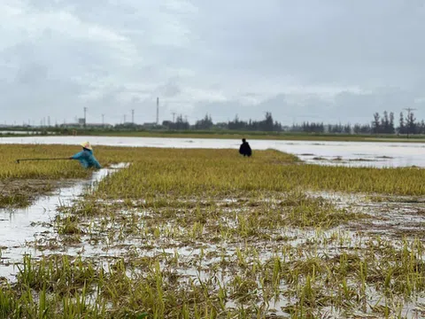 Hà Tĩnh: Khẩn trương khắc phục hậu quả mưa lũ