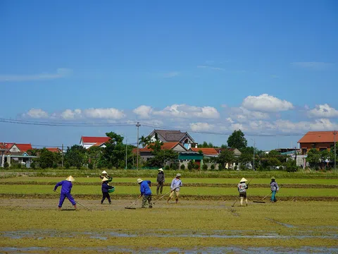 Quảng Bình: Khôi phục sản xuất nông nghiệp sau mưa lũ