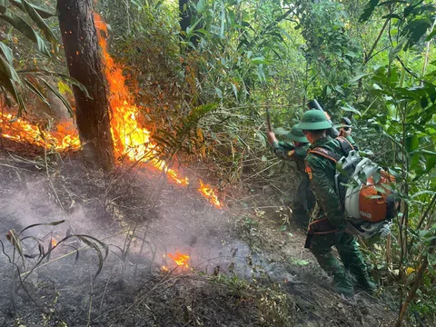 Quảng Trị: Kịp thời khống chế đám cháy tại khu vực rừng phòng hộ Đèo Ngang
