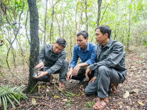 Hà Tĩnh: Hiệu quả bảo tồn rừng được nâng cao nhờ Dự án VFBC