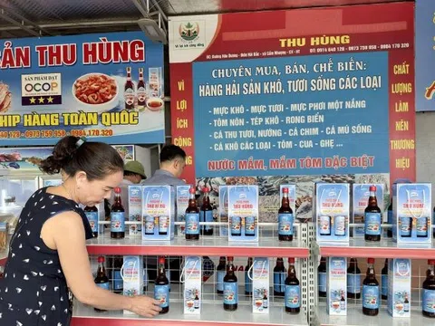 Người giữ hồn biển Thiên Cầm